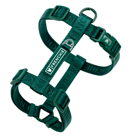 Frenchie Strap Harness - Emerald City