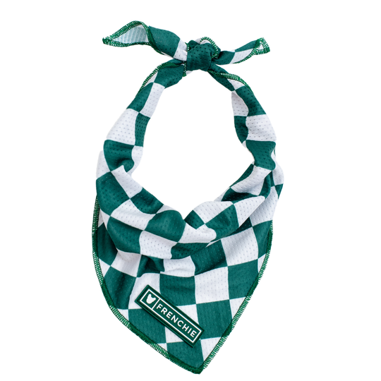 Frenchie Cooling Bandana - Emerald City