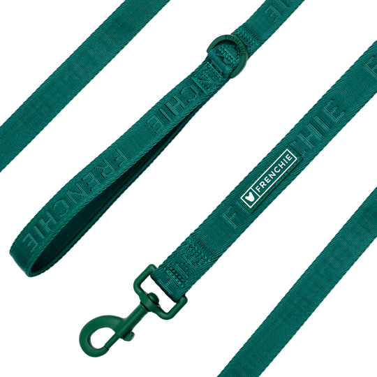 Frenchie Comfort Leash - Emerald City