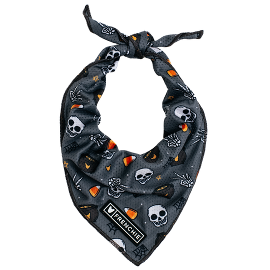 Frenchie Cooling Bandana - Black Magic