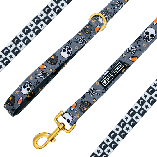 Frenchie Comfort Leash - Black Magic