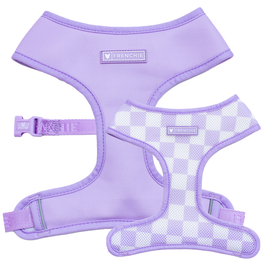 Frenchie Duo Reversible Harness - Lavender