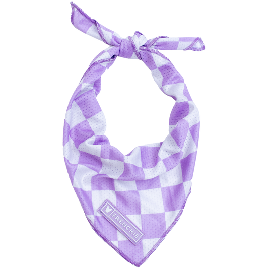 Frenchie Cooling Bandana - Lavender