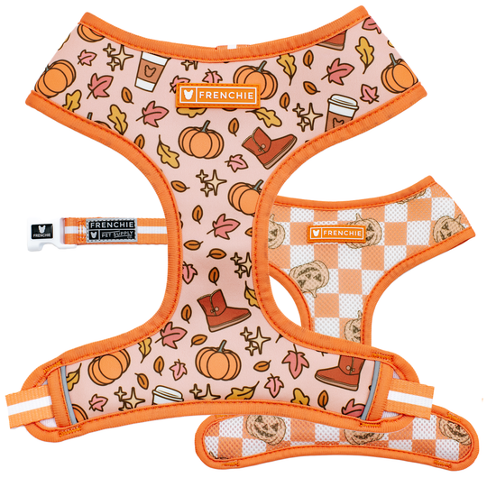 Frenchie Duo Reversible Harness - Pumpkin Spice Latte