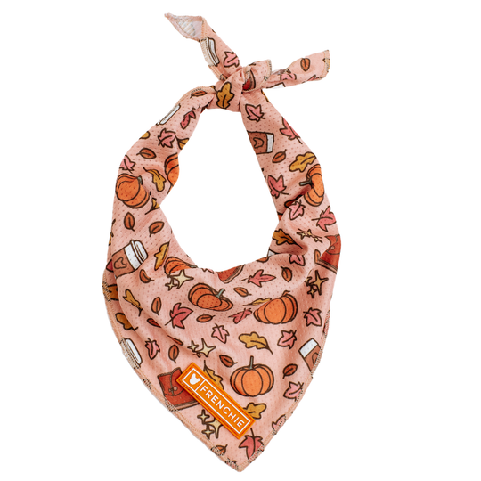 Frenchie Cooling Bandana - Pumpkin Spice Latte