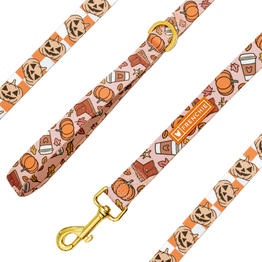 Frenchie Comfort Leash - Pumpkin Spice Latte