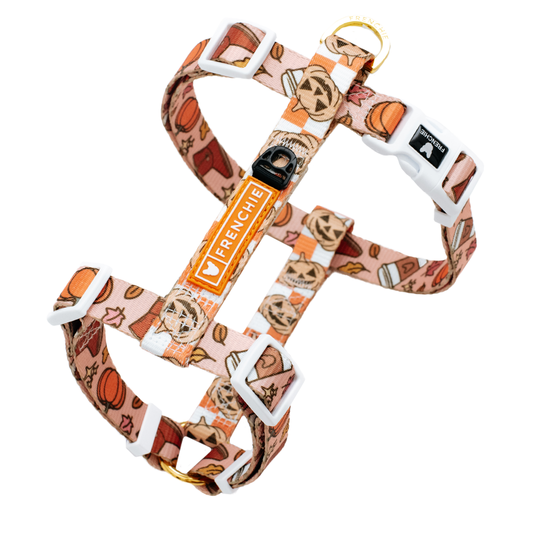 Frenchie Strap Harness - Pumpkin Spice Latte