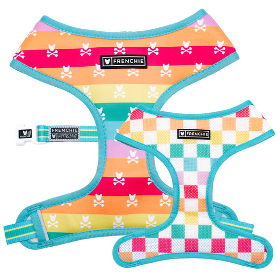 Frenchie Duo Reversible Harness - Rainbow Bad to the Bone