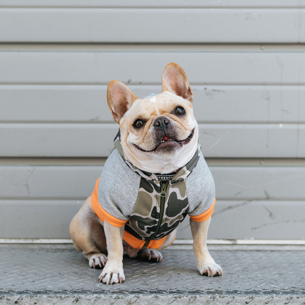 Frenchie Dog Hoodie - Green Frenchie Camo - Frenchie Bulldog - Shop Harnesses for French Bulldogs - Shop French Bulldog Harness - Harnesses for Pugs