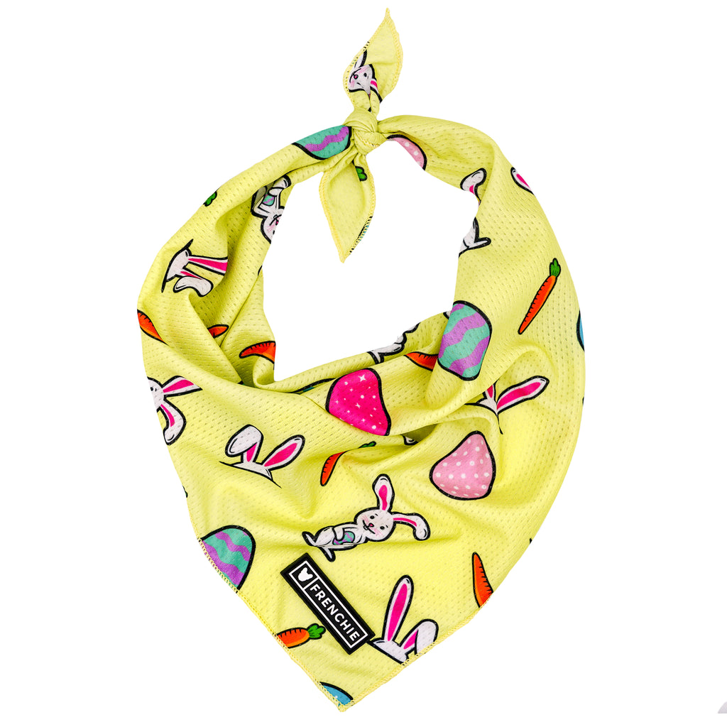 Frenchie Cooling Bandana - Easter - Frenchie Bulldog - Shop Harnesses for French Bulldogs - Shop French Bulldog Harness - Harnesses for Pugs