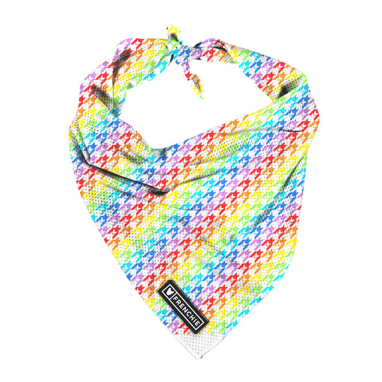 Frenchie Cooling Bandana - Pride Houndstooth