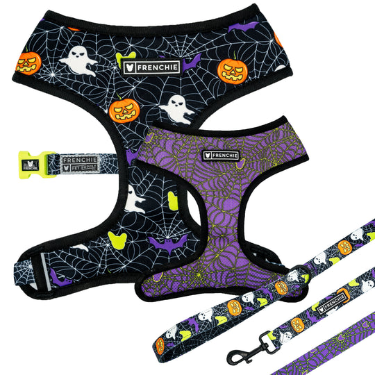 Matching Set- Frenchie Duo Reversible Harness and Comfort Leash- Trick or Treat