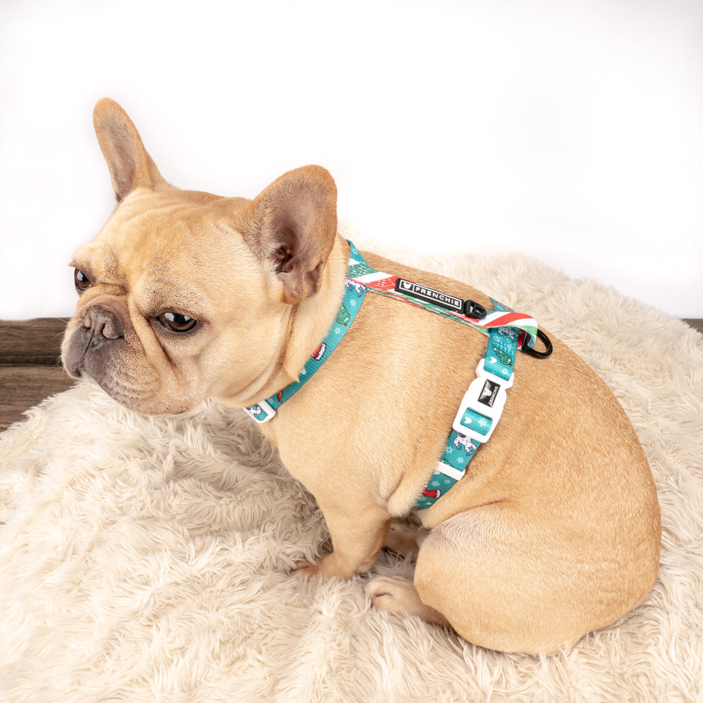 Matching Set- Frenchie Strap Harness and Comfort Leash- Abominable Snowman - Frenchie Bulldog - Shop Harnesses for French Bulldogs - Shop French Bulldog Harness - Harnesses for Pugs