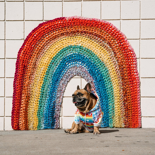 Frenchie Dog Hoodie - Pride