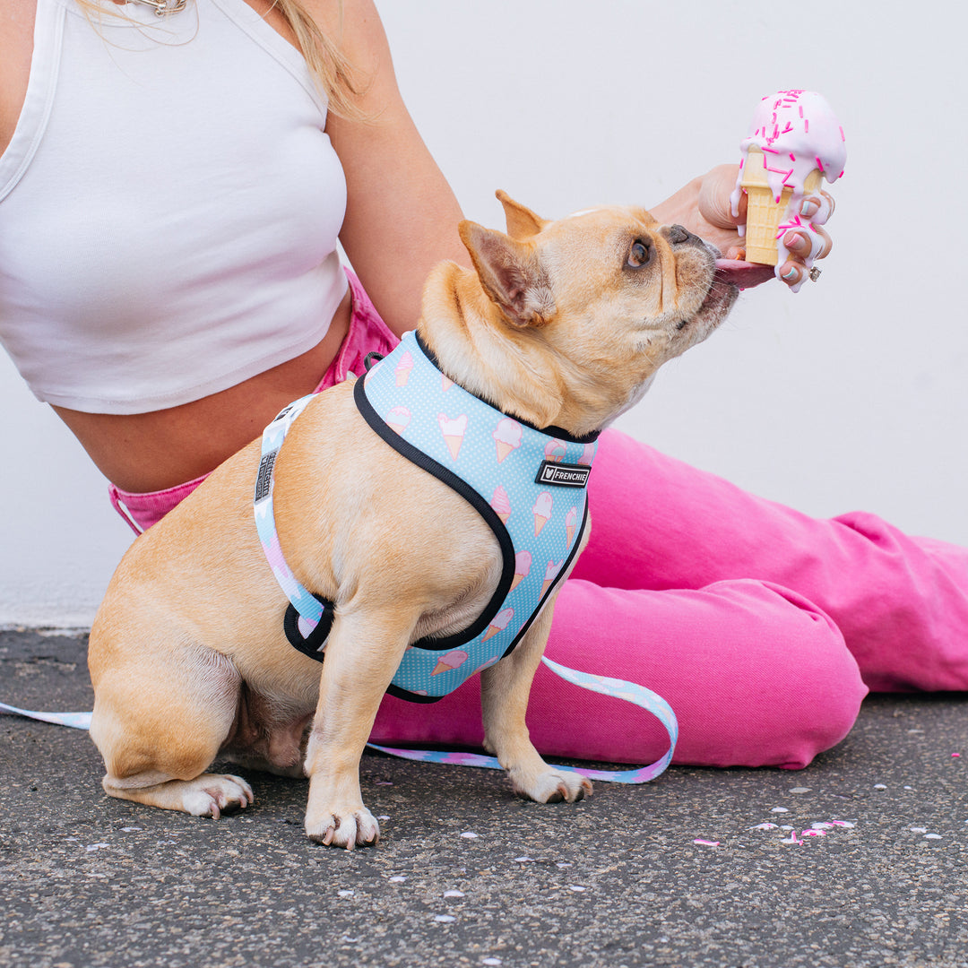 Frenchie Duo Reversible Harness - Double Scoop