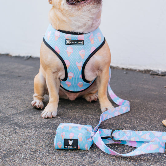 Frenchie Duo Reversible Harness - Double Scoop