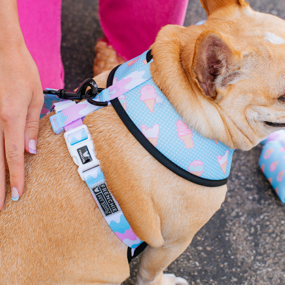 Frenchie Duo Reversible Harness - Double Scoop