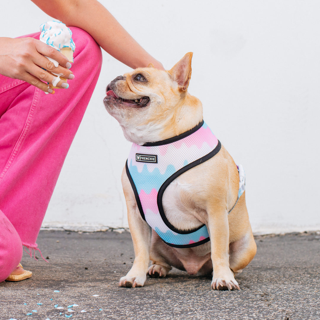 Frenchie Duo Reversible Harness - Double Scoop