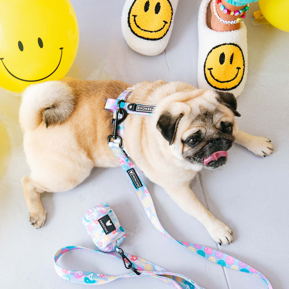 Frenchie Strap Harness - Good Vibes