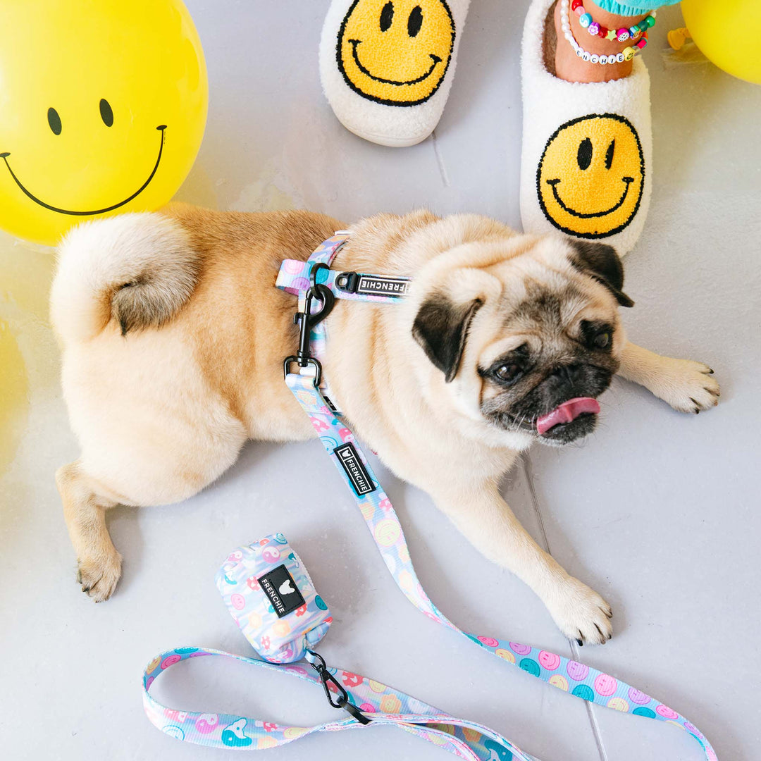 Frenchie Strap Harness - Good Vibes