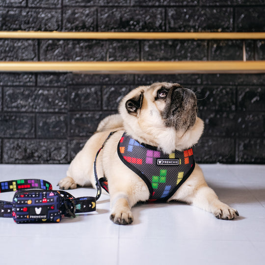 Frenchie Duo Reversible Harness - Arcade