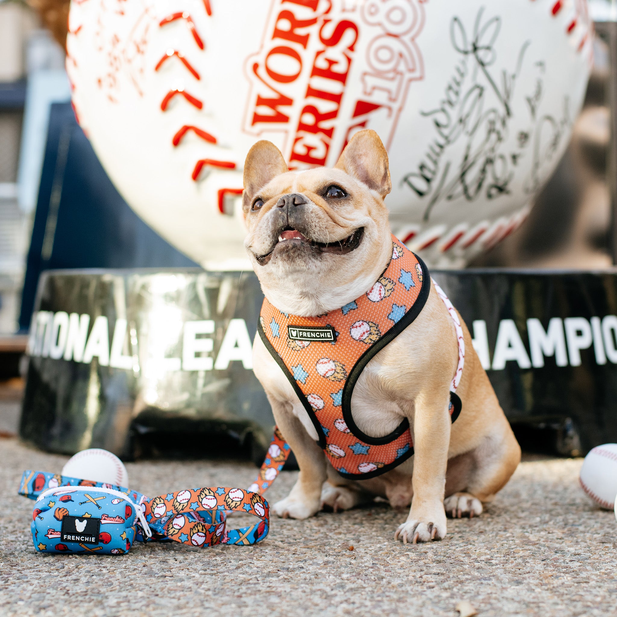 Frenchie Duo Reversible Harness Batter Up Frenchie Bulldog