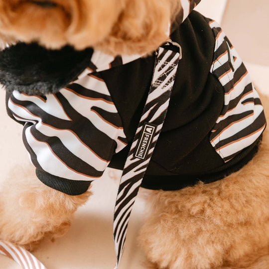Frenchie Dog Hoodie - Zebra