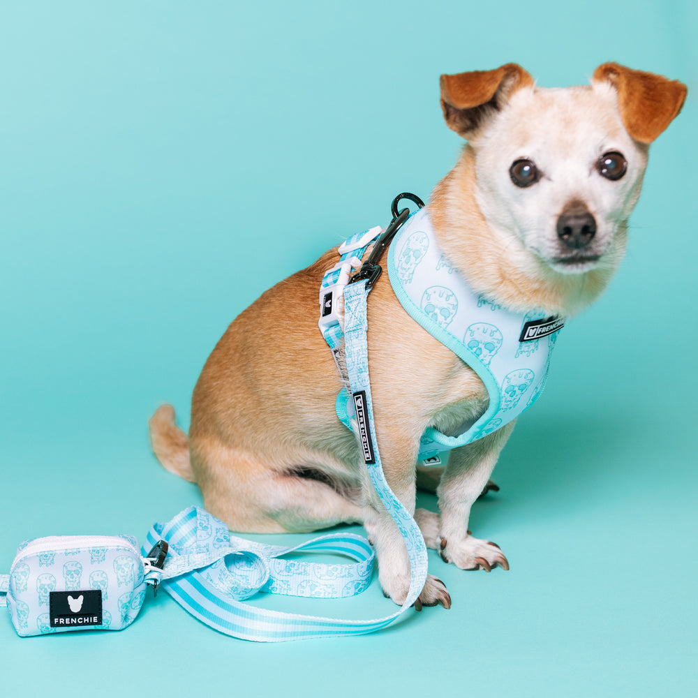 Frenchie Duo Reversible Harness - Blue Drip Skull