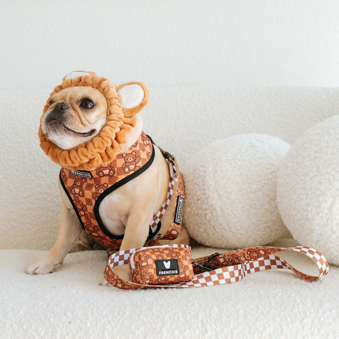 Frenchie Comfort Leash - Teddy Bear