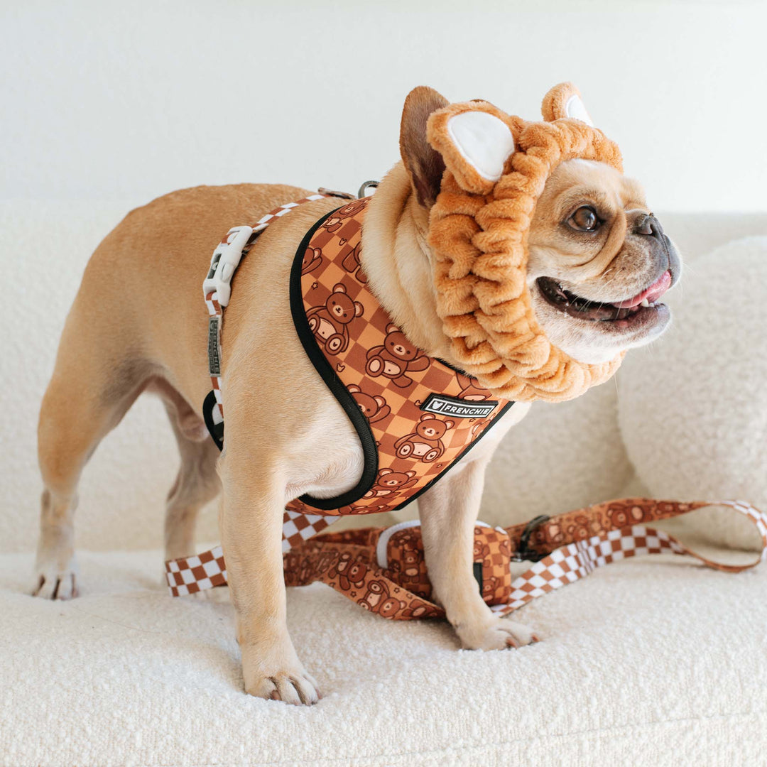 Frenchie Duo Reversible Harness - Teddy Bear