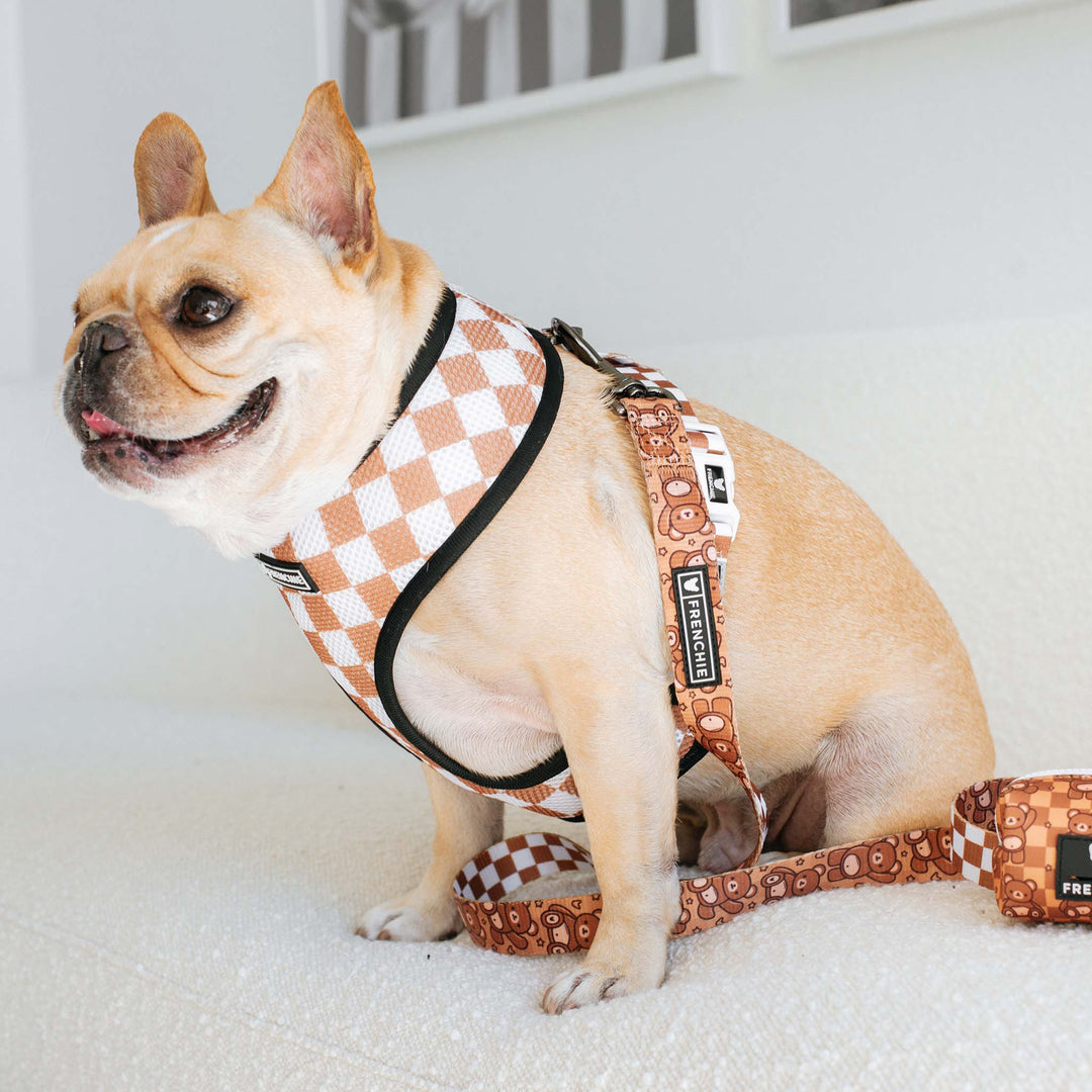 Frenchie Duo Reversible Harness - Teddy Bear