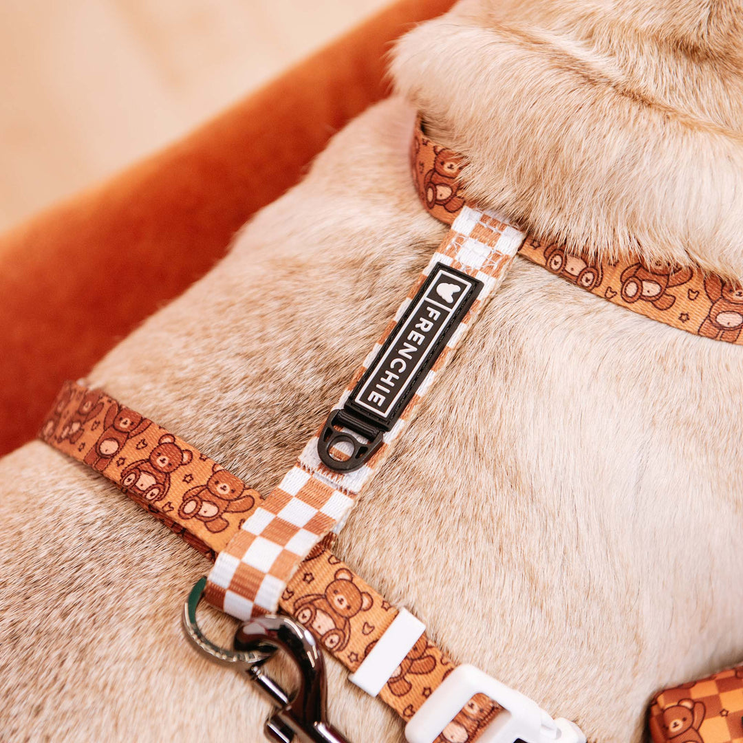 Frenchie Strap Harness - Teddy Bear