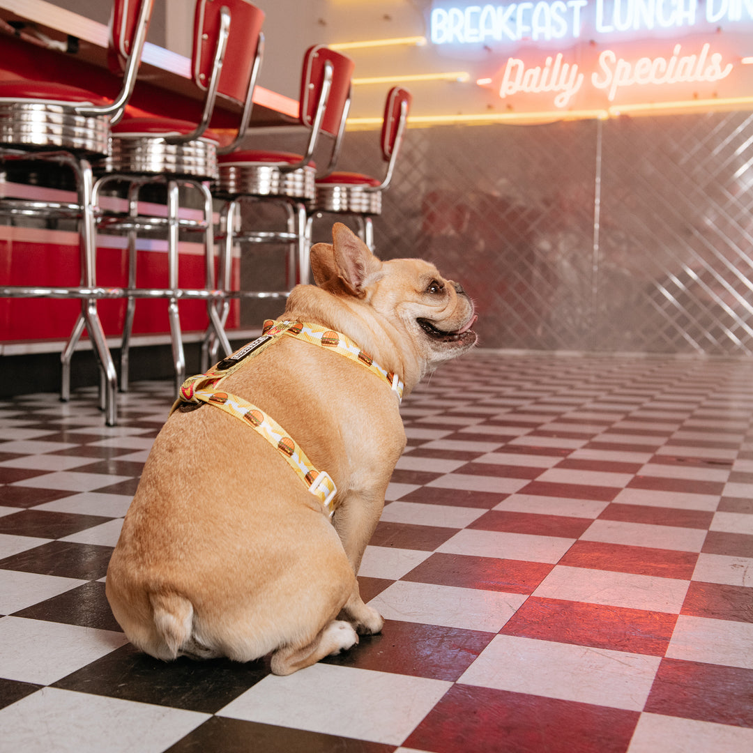 Frenchie Strap Harness - Burger N Fries