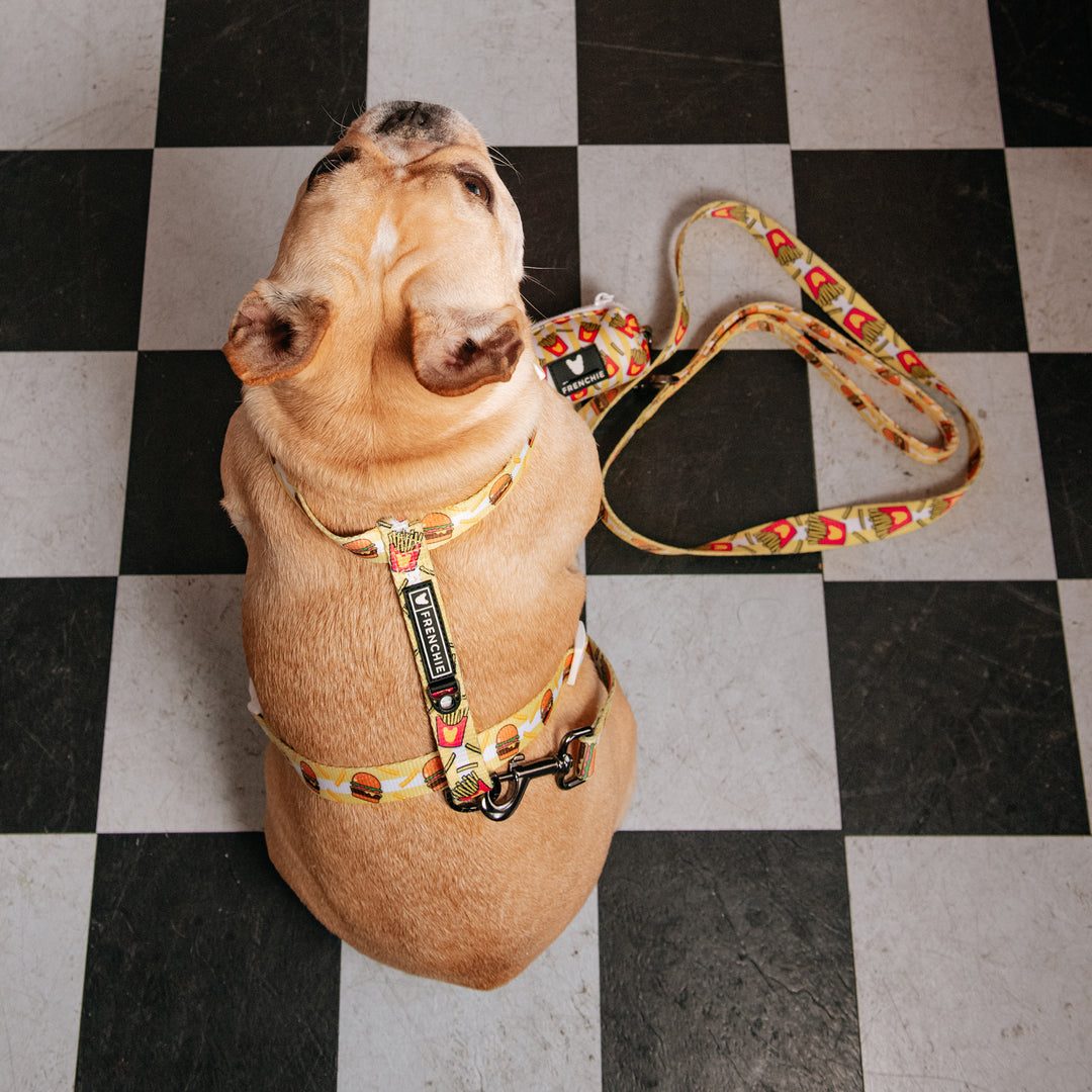 Frenchie Strap Harness - Burger N Fries