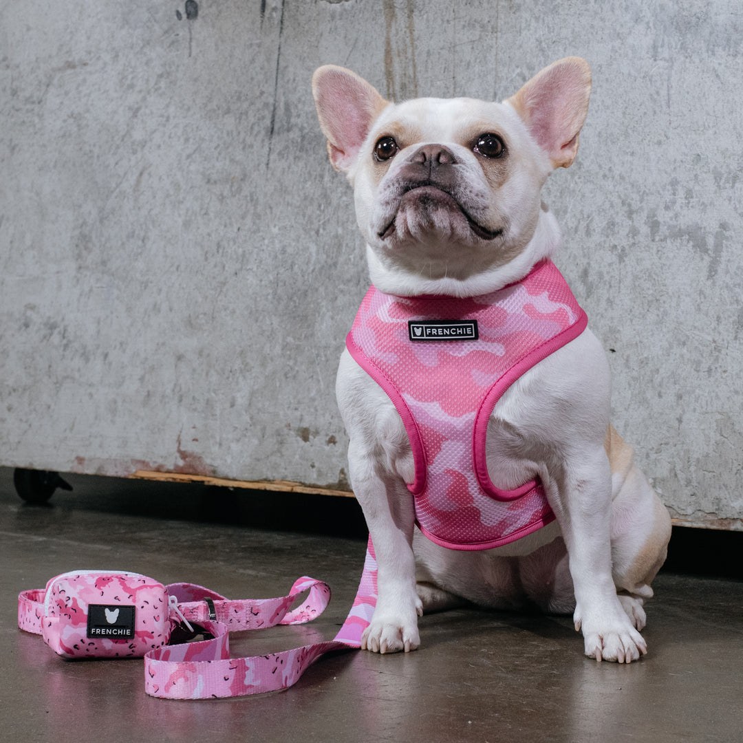 Frenchie Duo Reversible Harness - Desert Camo (Pink)