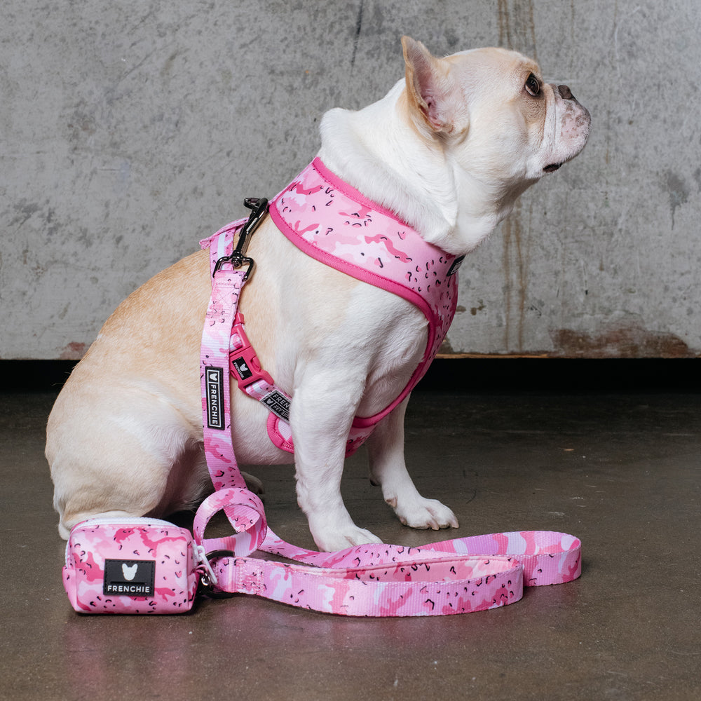 Frenchie Comfort Leash - Desert Camo (Pink)