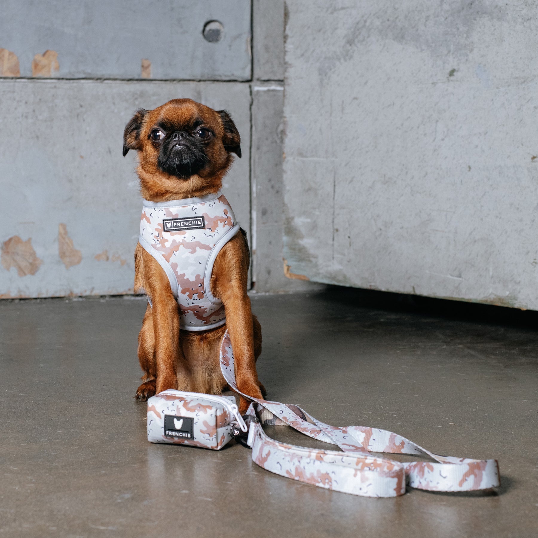 Camouflage Print Designer Dog Harness, R4dogs Inc.