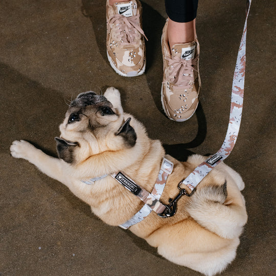 Frenchie Comfort Leash - Desert Camo (Tan)