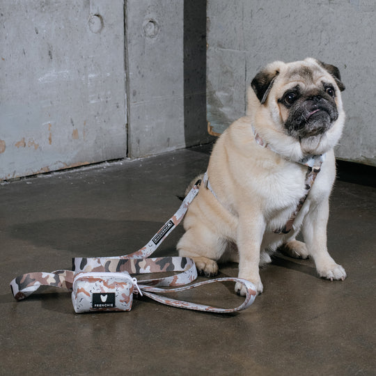 Frenchie Comfort Leash - Desert Camo (Tan)