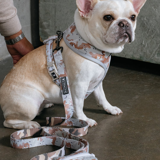 Frenchie Comfort Leash - Desert Camo (Tan)