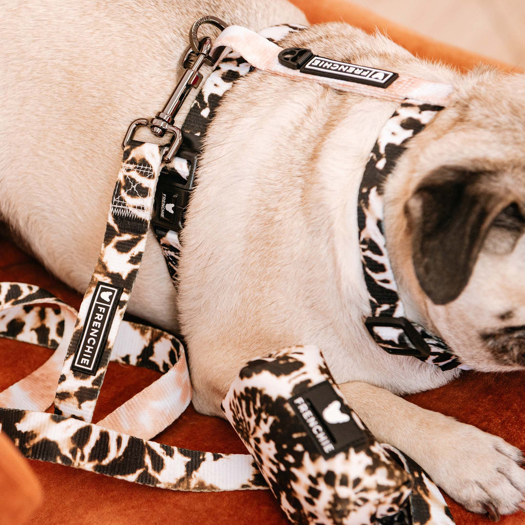 Frenchie Strap Harness - Earthy Tie Dye