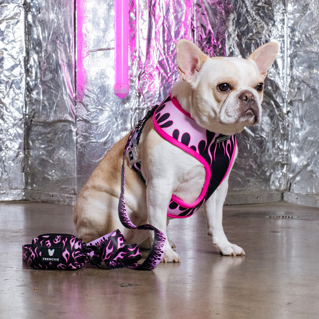 Reversible Form-Fitting Breathable Neoprene Dog Harness in 'Pretty