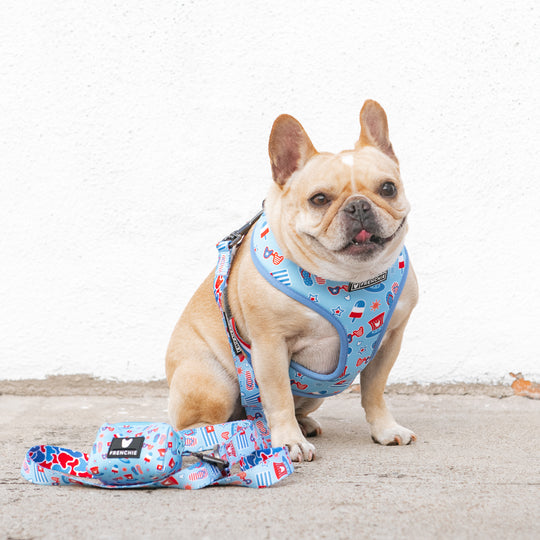 Frenchie Duo Reversible Harness - Party in the USA