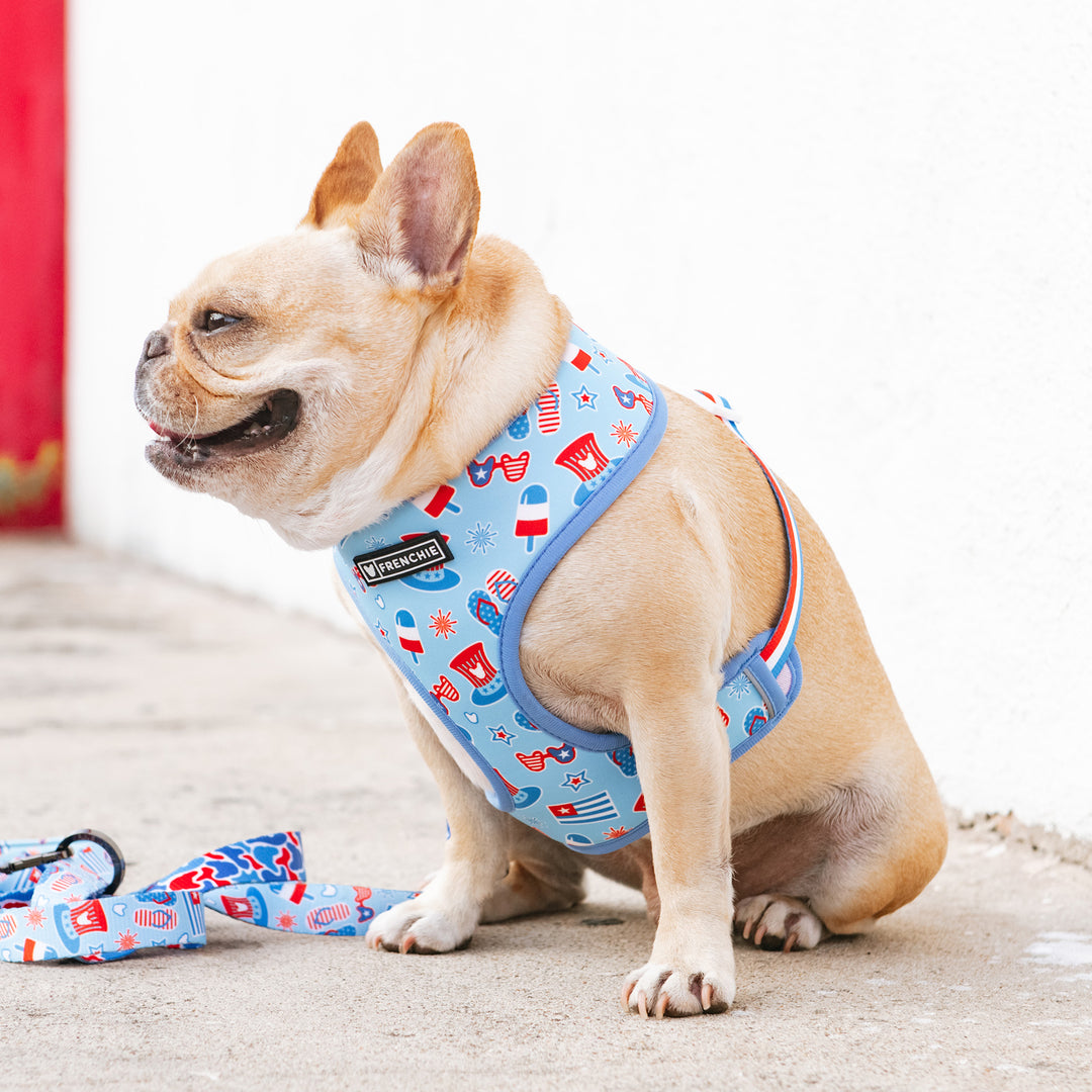 Frenchie Duo Reversible Harness - Party in the USA