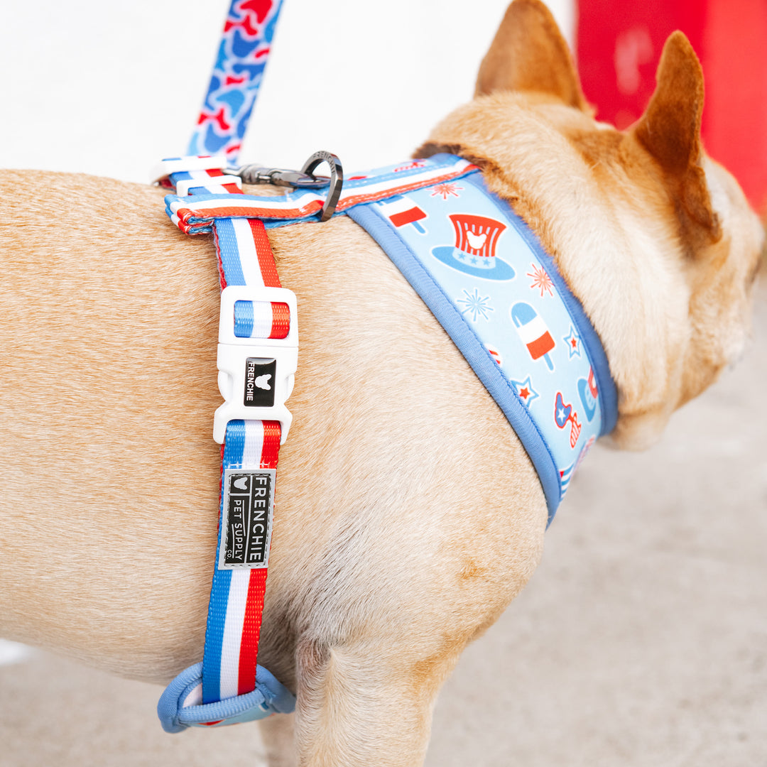 Frenchie Duo Reversible Harness - Party in the USA