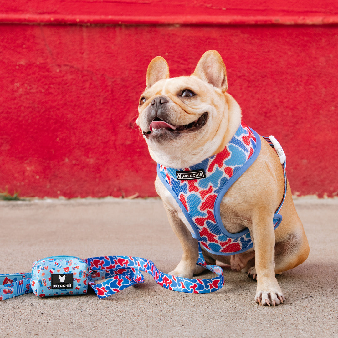 Frenchie Duo Reversible Harness - Party in the USA