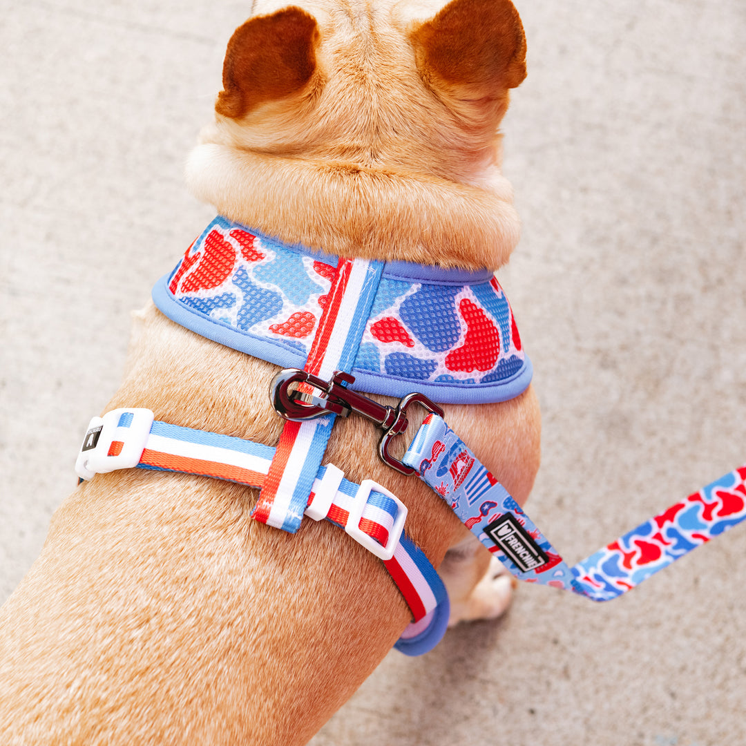 Frenchie Duo Reversible Harness - Party in the USA