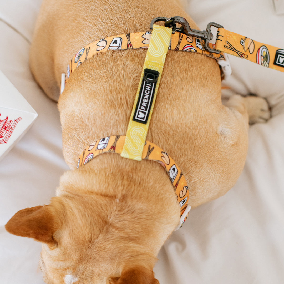 Frenchie Strap Harness - Frenchie Takeout