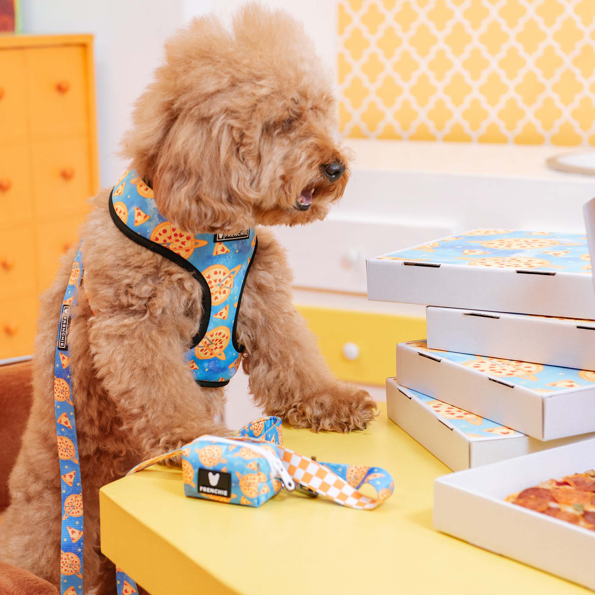 Pizza clearance dog harness