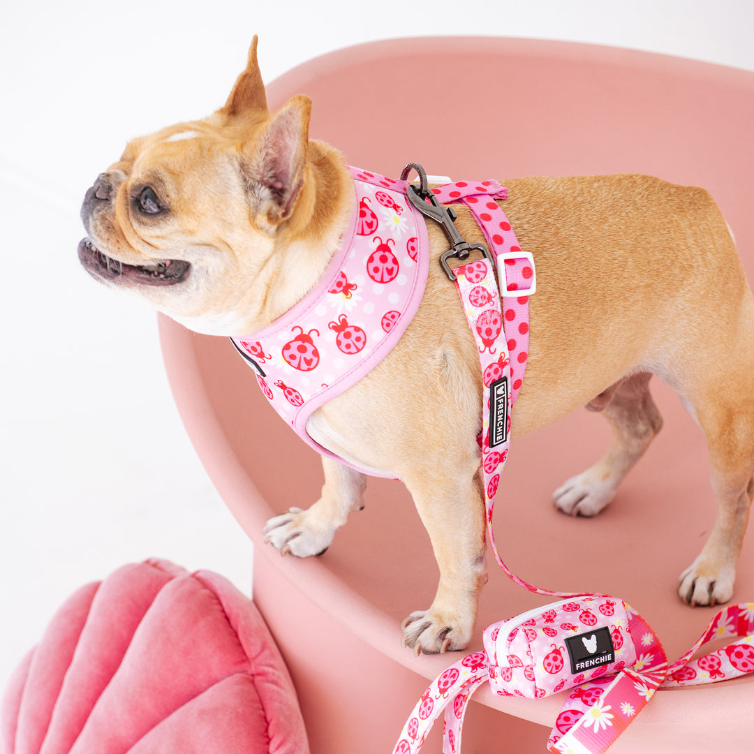 Love Frenchie - French Bulldog Harnesses & Accessories – Love